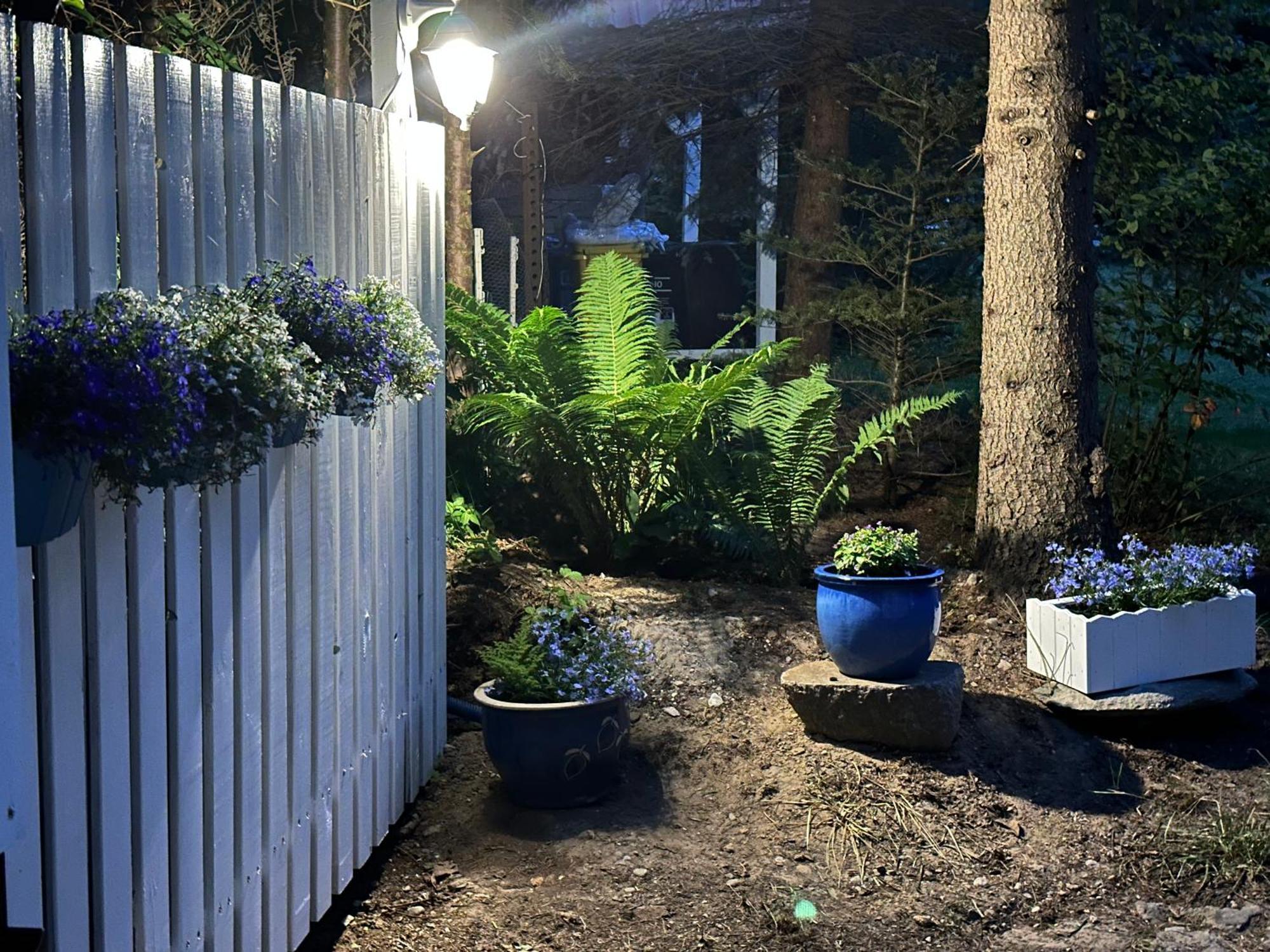 Kwiat Paproci Apartamento Ryn  Exterior foto
